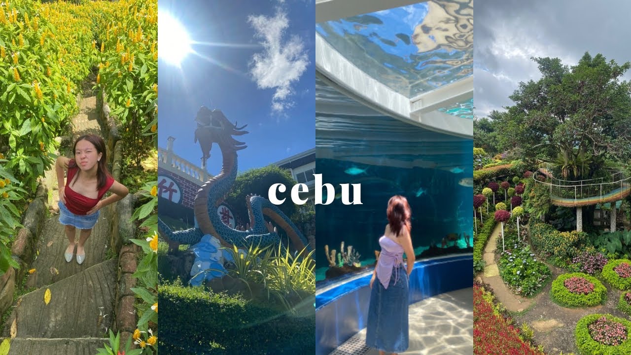 cebu 𐙚