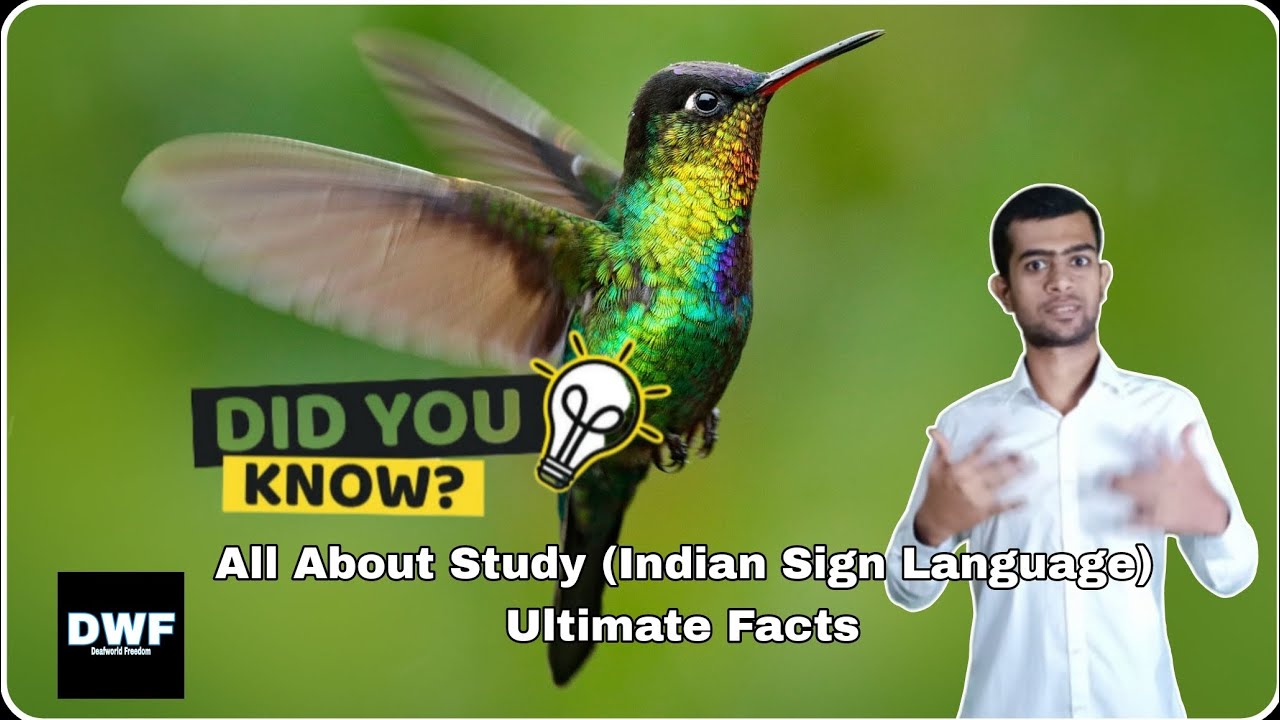 Ultimate Facts in Indian Sign Language | Hummingbirds | ISL | - YouTube