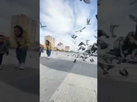 العسل عماد كل شويه يكبر يكبر حبه حبه