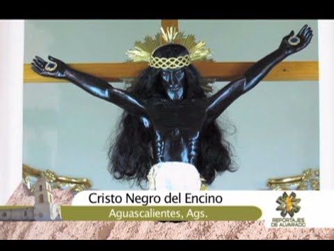Reportajes de Alvarado - Señor del Encino y Museo José Guadalupe Posada ...