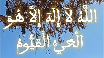 آية الكرسي برواية ورش عن نافع...مكررة 10 مرات