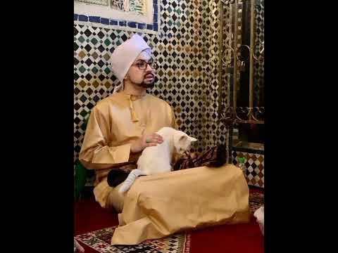 Wajah Indah Cicit Rasulullah SAW Dari Silsilah Emas Ke-38 - Al Habib Muhammad Al Amin Al Hasani