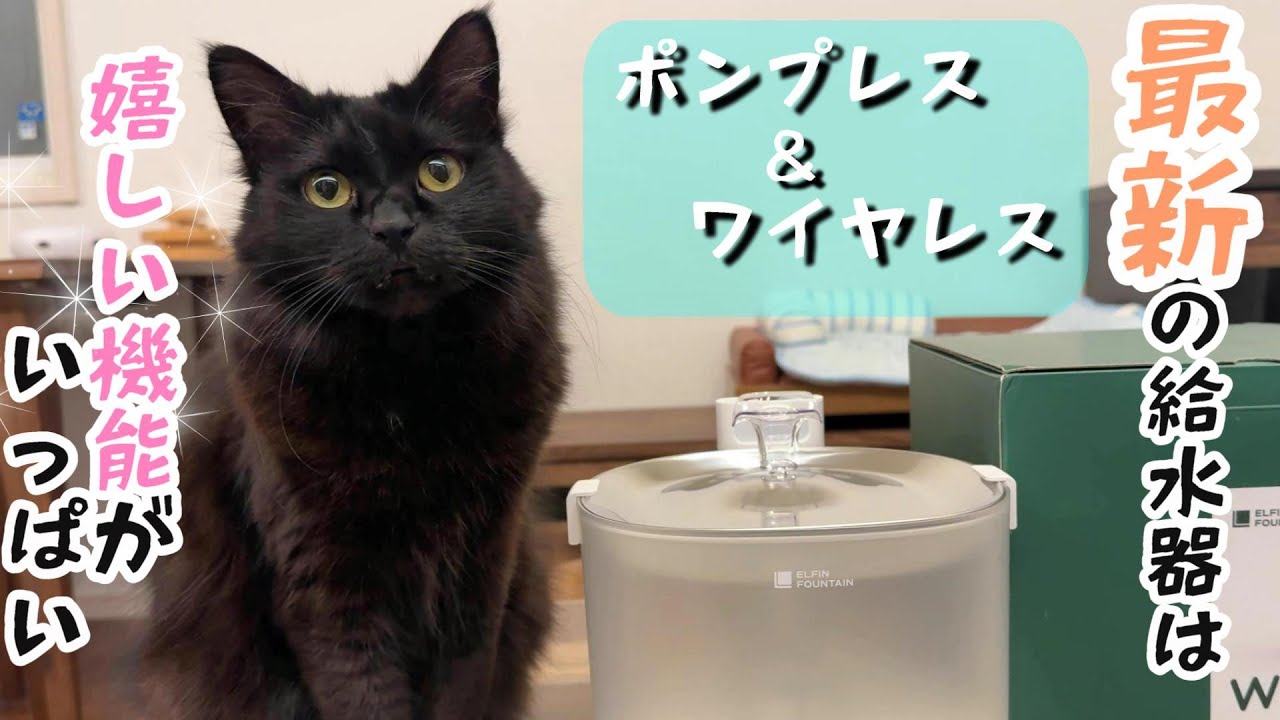 エルフィン 自動給水器 話題の自動給水器が我が家にやって来た!!【エルフィン給水器