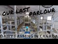 Milking Cows In Our Old Parlour!