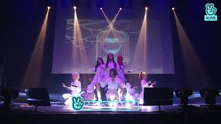 Momoland - What Planet Are You From?... Live (Great! Showcase) Resimi