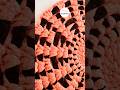 Paydan ke fande bnana, Home Creativity. #diy #shorts #shortvideo #youtube
