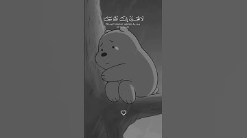 مواساة ربانية 🥺💞    لا تحزن إن الله معنا    القارئ عبد الرحمن مسعد