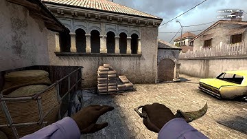 Werze - Ace + 1v3 Clutch