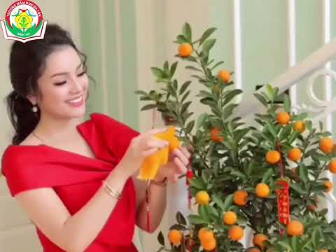 HĐKP Ngày tết quê em - Giáo viên: Nguyễn Thị Hồng Hạnh