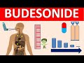 Budesonide - Mechanism, side effects, precautions & uses