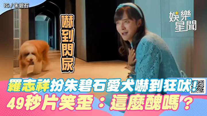 羅志祥扮朱碧石愛犬嚇歪「看到鬼」閃尿狂吠！49秒片笑歪：這麼醜嗎？｜三立新聞網 SETN.com - 天天要聞