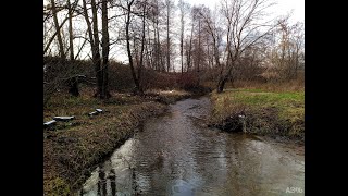Осенний Измайловский парк (02.11.2019)