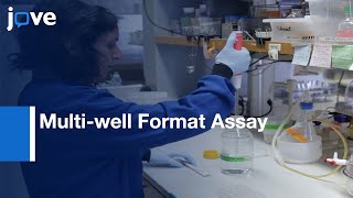 Multi-well Format Assay for Studying the Effect of ECM Stiffness | Protocol Preview
