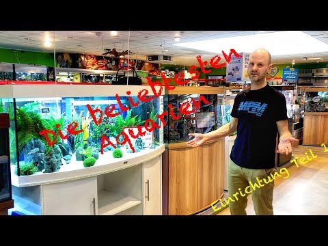 Video: So wählen Sie ein Aquarium für Ihr Zuhause