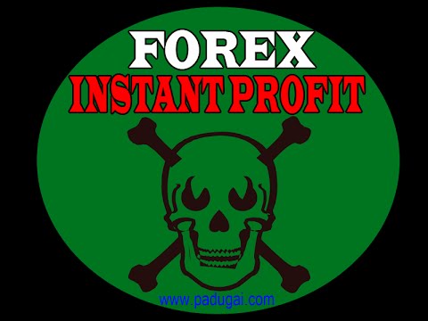 forex training in tamil