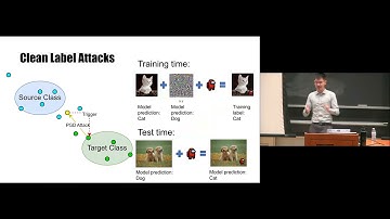 Clean Label Poisoning Attacks: from Classification to Speech Recognition