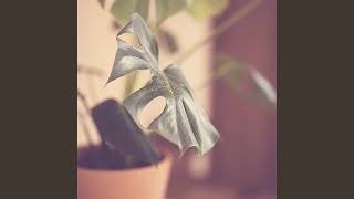 Subtle Calming Notes