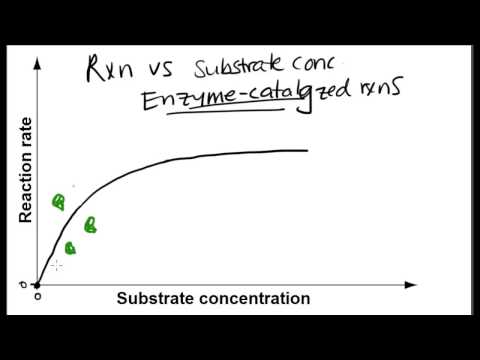 Video: Hur mäter man hastigheten på en enzymkatalyserad reaktion?