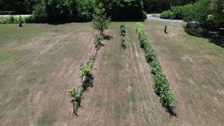 1184 Hwy H Forsyth MO 65653 Unbranded