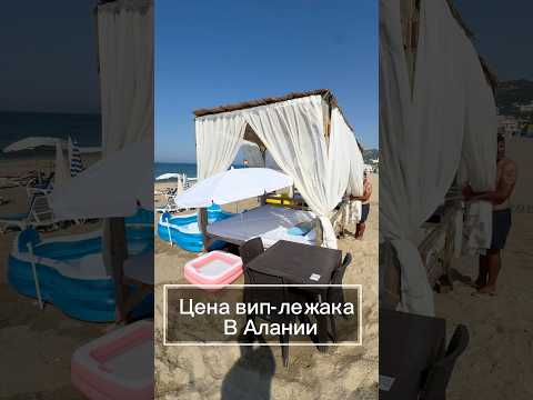 Сколько стоит Вип