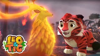 Leo & Tig  El ciervo rojo |  y más episodios completos | Caricatura animada