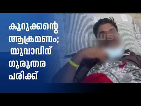 വടകര ചെമ്മരത്തൂരിൽ കുറുക്കന്റെ ആക്രമണം: യുവാവിന് ഗുരുതര പരിക്ക്; പ്ലാസ്റ്റിക് സർജറി നടത്തും