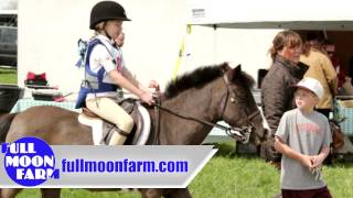 Full Moon Farm LLC | Equestrian in Finksburg
