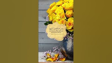 عبدالباسط عبدالصمد || ربنا وادخلهم جنات عدن التي وعدتهم ومن صلح من آبائهم || سورة غافر
