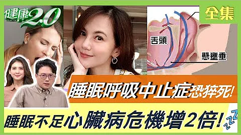 失眠真要命！睡眠不足6小時 心臟病危機增2倍！睡眠呼吸中止症恐猝死！教你從打鼾聲聽聲救命！中醫安神茶助好眠！失眠晚安食譜這樣吃！ 健康2.0 20220416 (完整版) - 天天要聞