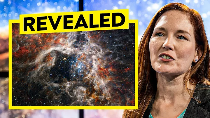 Judy Schmidt TURNS Webb Telescope Data Into STUNNI...