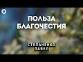 Польза благочестия. Степаненко П.Е. Беседа для молодежи МСЦ ЕХБ