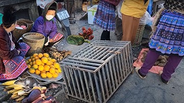 Chợ phiên Pà Cò người Mông || Lam Sơn TV