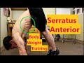 Serratus Anterior Exercises - Bodyweight Exercises