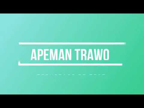 Apeman Trawo im Test: Budget Actioncam mit Schwächen Apeman Trawo im Test: Budget Actioncam mit Schwächen