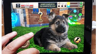 Dog Simulator - Animal Life - Dog Simulator Build A Family Android Gameplay Video screenshot 5