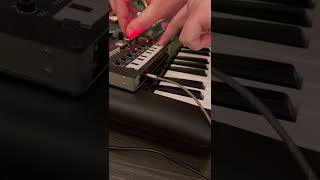 Short Blip Delay From Korg Nts - 1