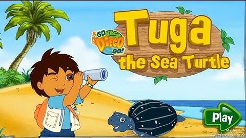 Tuga the sea turtle #Go Diego go#gameplay #kidsgames #learning #educationcartoon #colors #boots