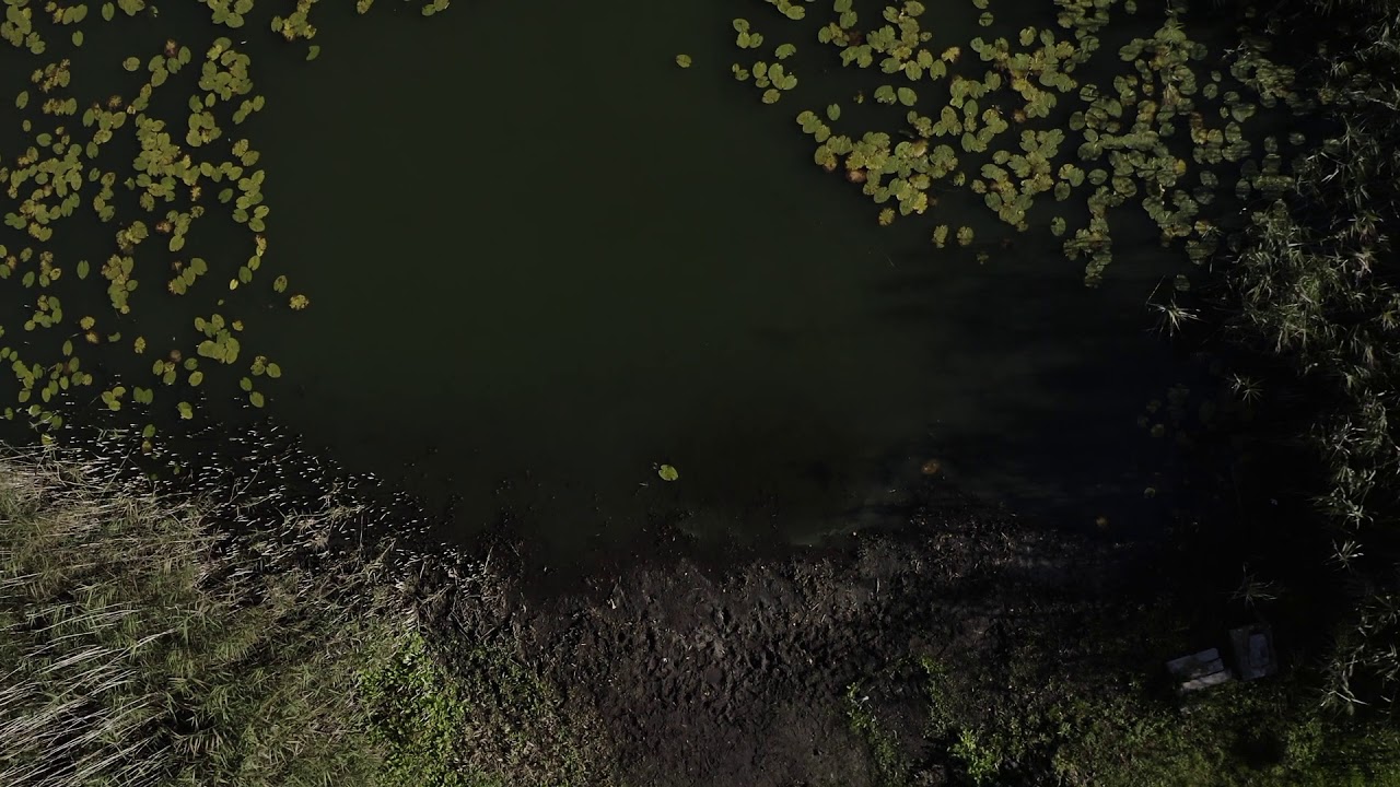 Wieś Zimnochy i Jezioro Okonie