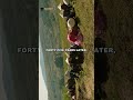 How did China stop the Gobi desert with a wall of trees?