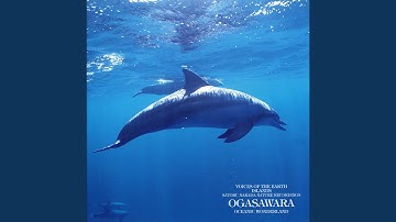 Chichijima Nakayamatouge Fukin