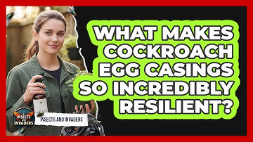 What Makes Cockroach Egg Casings So Incredibly Resilient? - Insects and Invaders