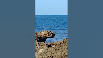 Nature Is Beautiful Shorts Youtubeshorts Youtube 