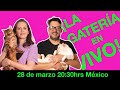 ¡LA GATERÍA EN VIVO!