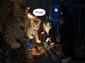 We all know someone who thinks they are helping 😂 #funnymemes #relatablememes #cat #funnycat #fyp
