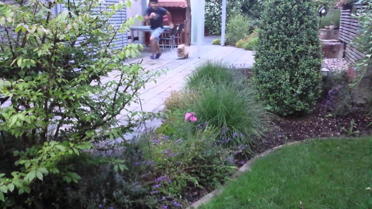 Der springende hund) YouTube