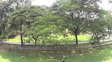 My 1st recorded drone video using MJX X101 and SONY HDR AS 100V action cam