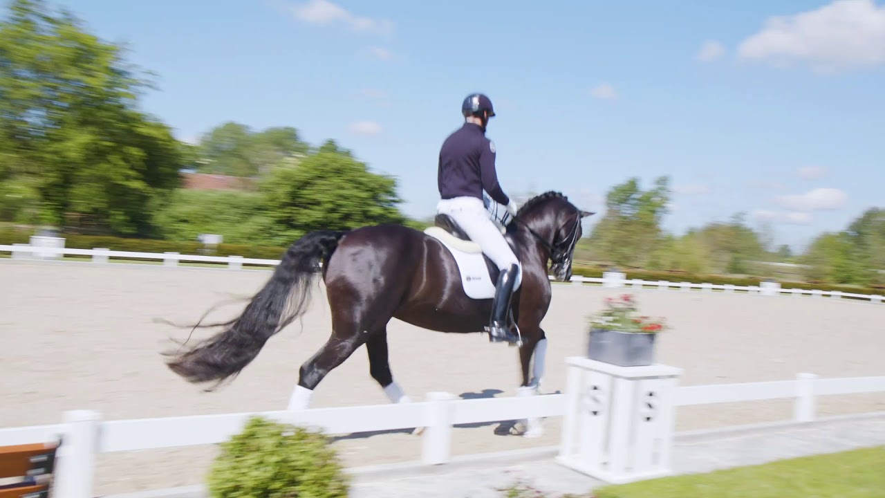 Patrik Kittel Dressage Tour S4E2 – Grand Prix Nivå: Utveckla gångarterna