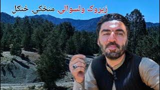 پکتيکا زيړوک ولسوالۍ منڅکۍ ځنګل 🌲🌲