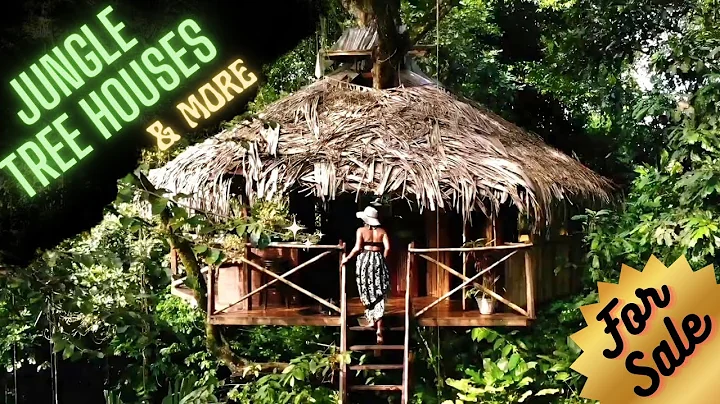 How to Live Like Tarzan in Panama: (4 Amazing options) Jungle Tree Houses & Casitas For Sale