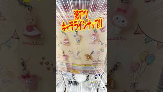 キャラクターラインナップがアツい!サンリオキャラクターズゆるっとめじるしアクセサリーガチャを回す!! #shorts #short #sanrio #サンリオ